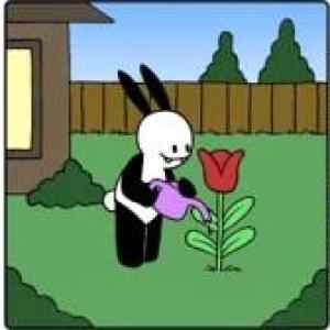 Obrázek 'Buni 230511'