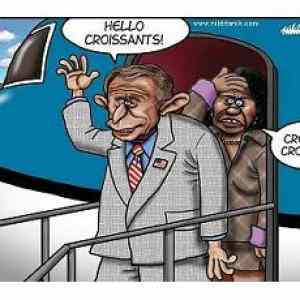 Obrázek 'Bush&nbsp;fail'