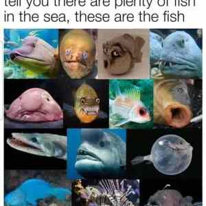 Obrázek 'But-youre-picky'