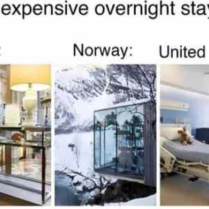 Obrázek 'But&nbsp;they&nbsp;fluff&nbsp;your&nbsp;pillow'