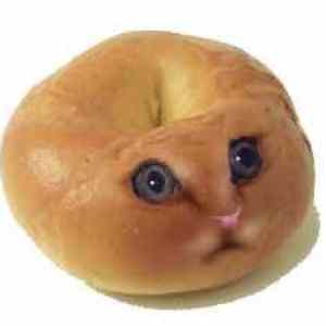 Obrázek 'CATBAGEL1'