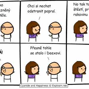 Obrázek 'CaH-Breast Cancer'