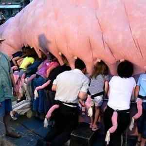 Obrázek 'Can&nbsp;Someone&nbsp;Explain&nbsp;What&nbsp;Is&nbsp;Going&nbsp;On&nbsp;Here'