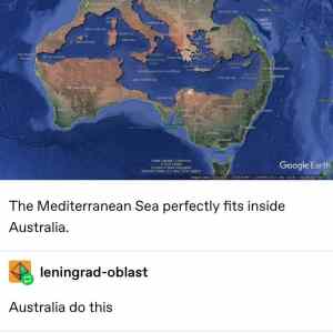 Obrázek 'Can kangaroos swim'