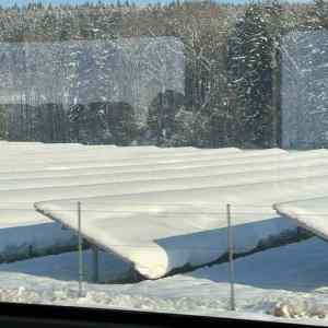 Obrázek 'Cant charge the car till spring'