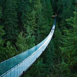 Obrázek 'Capilano Suspension Bridge'