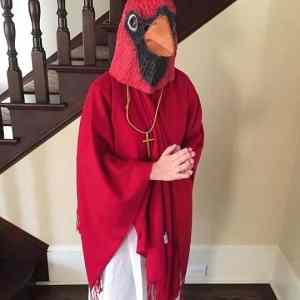 Obrázek 'Cardinal&nbsp;Cardinal'