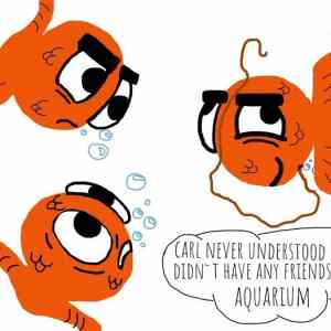 Obrázek 'Carl-the-socially-akward-goldfish'