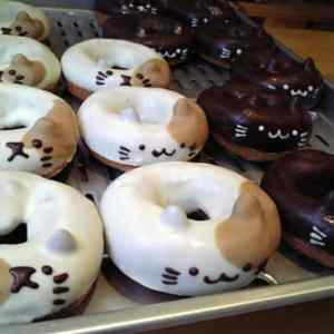 Obrázek 'Cat Donuts'
