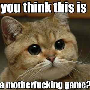 Obrázek 'Cat Looks Pissed'