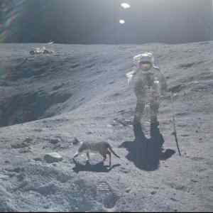 Obrázek 'Cat Walks On The Moon'