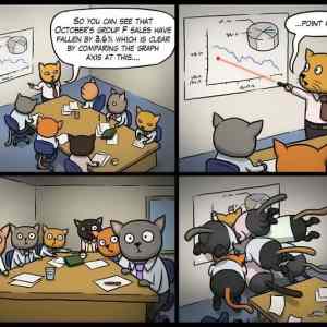 Obrázek 'Cat business meeting '