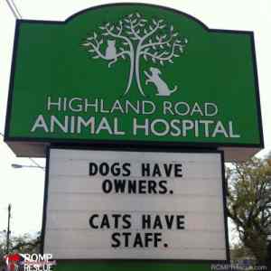 Obrázek 'Cat&nbsp;truth'