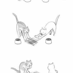 Obrázek 'Catideaa'