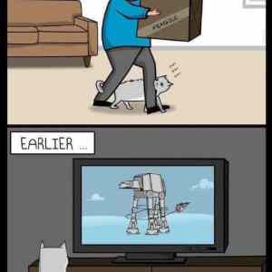 Obrázek 'Cats-are-assholes'