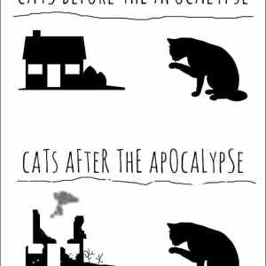 Obrázek 'Cats Before and After Apocalypse'