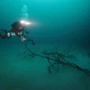 Obrázek 'Cave Diving 8'