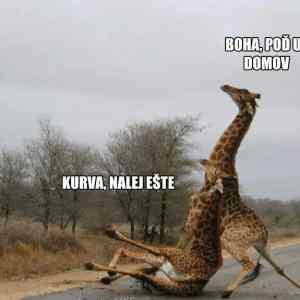 Obrázek 'Cesta&nbsp;z&nbsp;hospody'