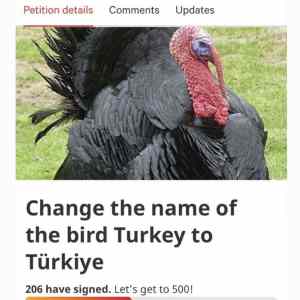 Obrázek 'Change the name Turkey to Turkiye'