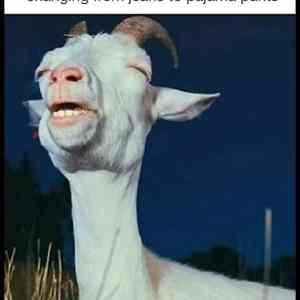 Obrázek 'Changing&nbsp;From&nbsp;Jeans'