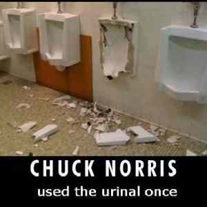 Obrázek 'Chuck Norris 301111'