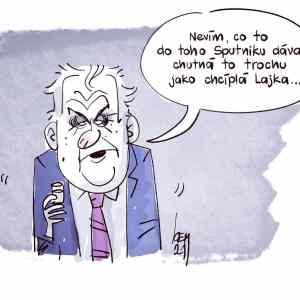 Obrázek 'Chudak&nbsp;lajka'