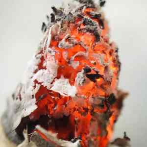 Obrázek 'Cigarette-close-up'
