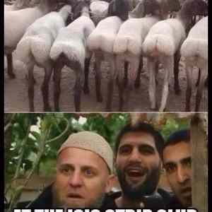 Obrázek 'Clever&nbsp;Title'