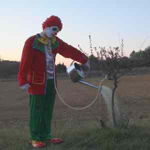 Obrázek 'Clown suicide'