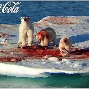 Obrázek 'Coca cola 02-04-2012'