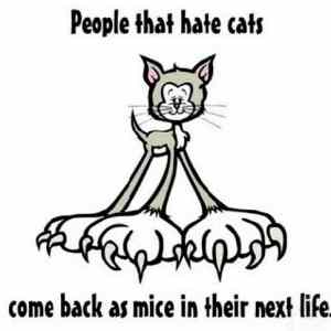 Obrázek 'Come back as mice'