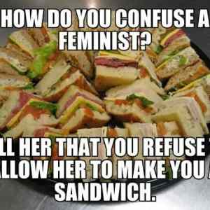 Obrázek 'Confuse A Feminist'