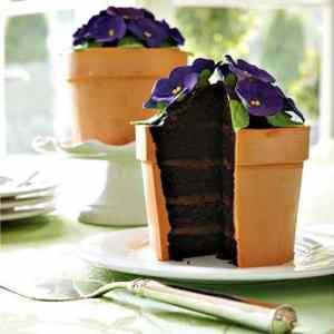 Obrázek 'Cool Plantpot Themed Chocolate Cake'