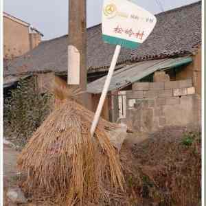 Obrázek 'Cool busstop3'