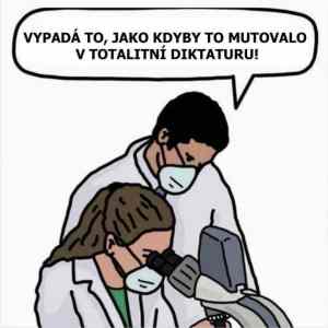 Obrázek 'Covidmuta'