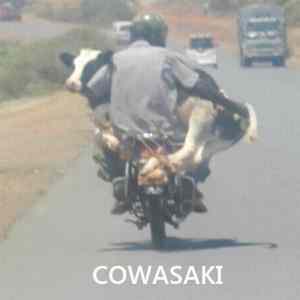 Obrázek 'Cowasaki'