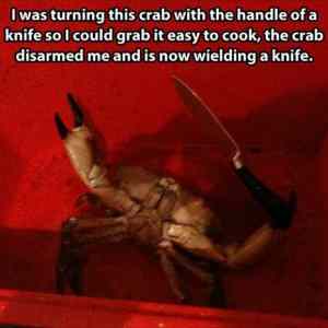 Obrázek 'Crab-disarm'