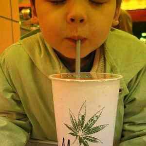 Obrázek 'Crazy&nbsp;East2'