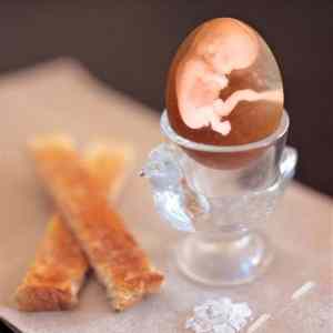 Obrázek 'Crazy Egg'
