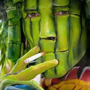 Obrázek 'Creative Body Paint Art3'