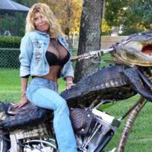 Obrázek 'Crocodilebike'