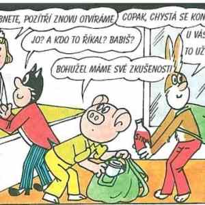 Obrázek 'Ctyrlistek na nakupu'