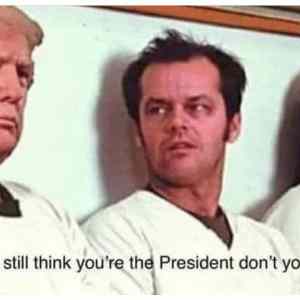 Obrázek 'Cuckoo&nbsp;nest&nbsp;2020'