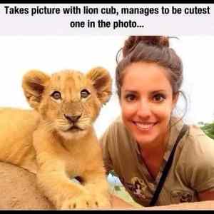 Obrázek 'Cute Lion Cub'