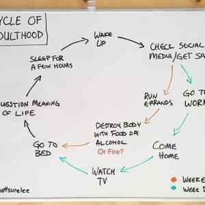 Obrázek 'CycleOfAdultH'