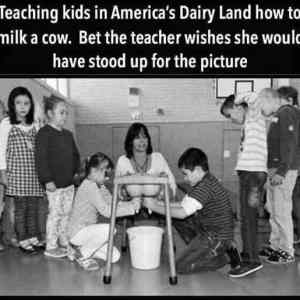 Obrázek 'Dairy Land Lesson'