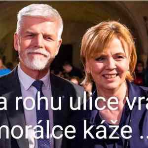 Obrázek 'Dame si kryla vole'