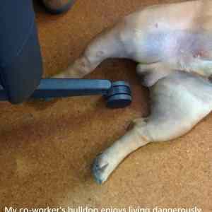 Obrázek 'Dangerously.&nbsp;.&nbsp;.&nbsp;'