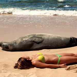 Obrázek 'Day&nbsp;At&nbsp;The&nbsp;Beach'