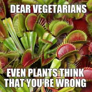 Obrázek 'Dear vegetarians'